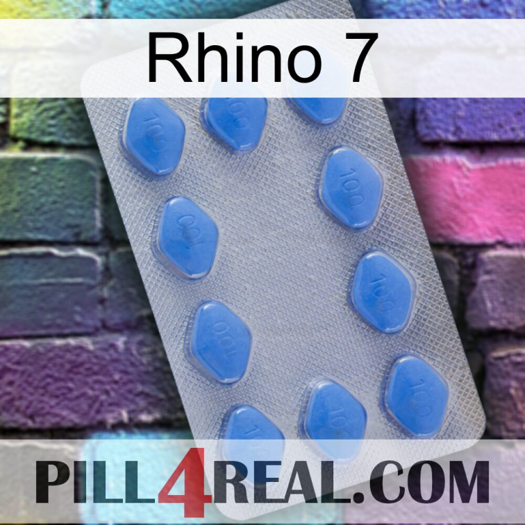 Rhino 7 21